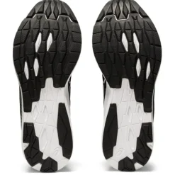 Asics EvoRide