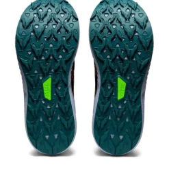 Asics Fuji Lite 3