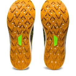 Asics Fuji Lite 3