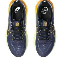 Asics Gel-Kayano 31