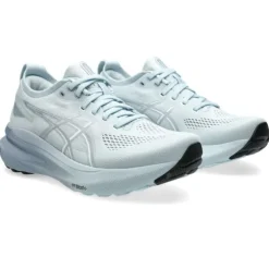 Asics Gel-Kayano 31