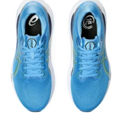 Asics Gel-Kayano 30