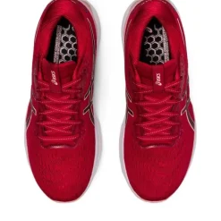 Asics Gel-Nimbus 24