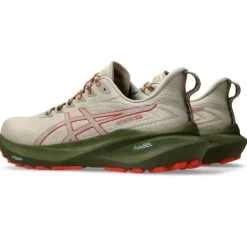 Asics GT-2000 13 TR