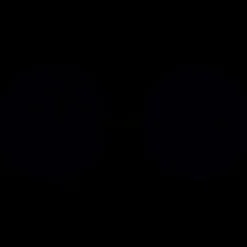 Blackroll Duoflex 12