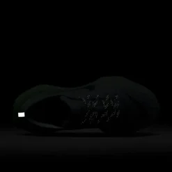 Nike Invincible 3