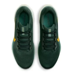 Nike Pegasus 41