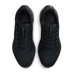 Nike Pegasus 41 Gore-Tex