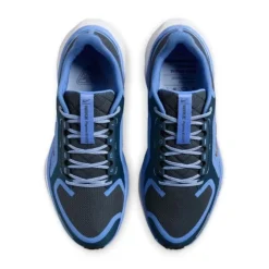 Nike Pegasus 41 Gore-Tex