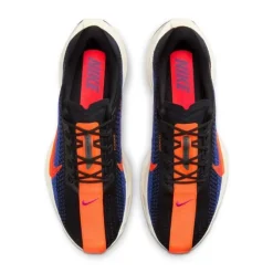 Nike Pegasus Plus