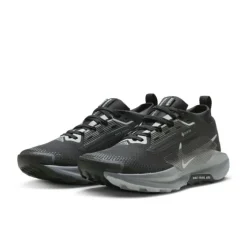 Nike Pegasus Trail 5 Gore-Tex