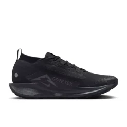 Nike Pegasus Trail 5 Gore-Tex