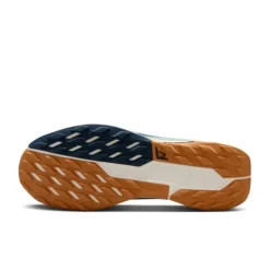 Nike Pegasus Trail 5 Gore-Tex