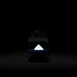 Nike Winflo 11 Gore-Tex