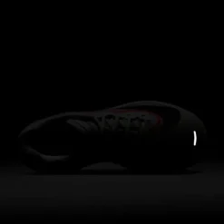 Nike Zoom Fly 6