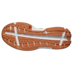 Salomon Aero Glide