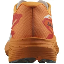 Salomon Aero Volt