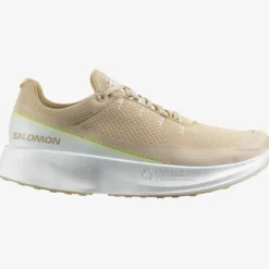Salomon Index 02